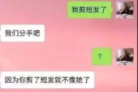 沧县遇到恶意拖欠？专业追讨公司帮您解决烦恼